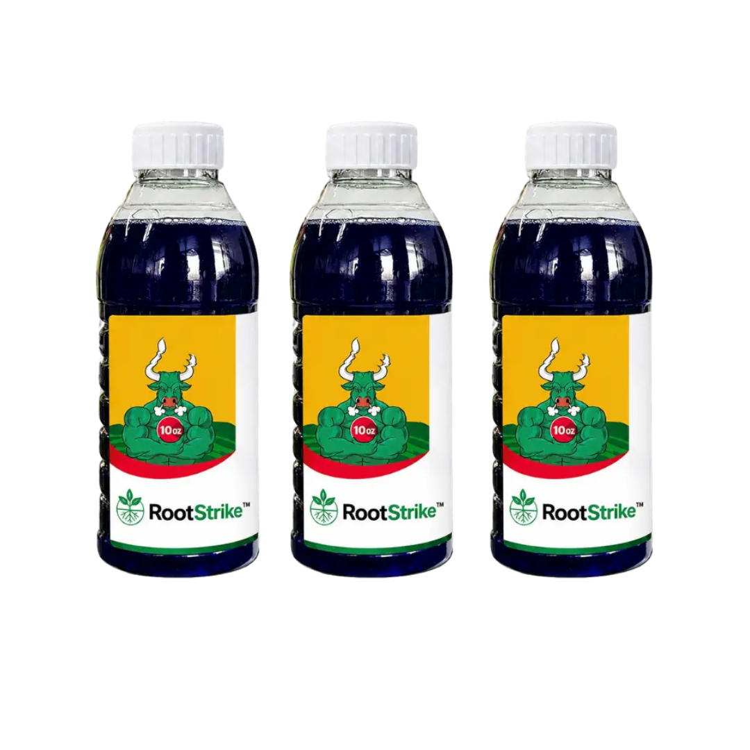 RootStrike